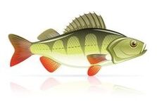 fructe de mare pentru pancreatită